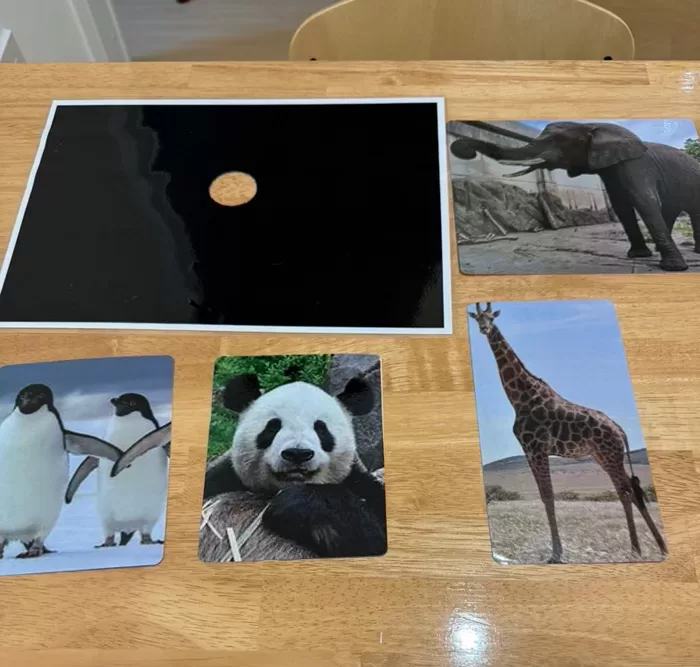 小さな穴から見える世界